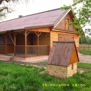 деревянный дом в д.Рабунь